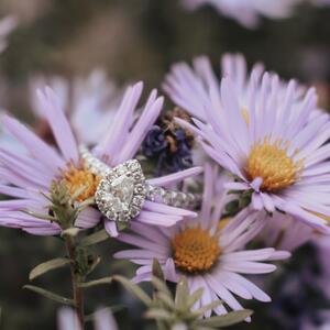 Gallery Photo 48