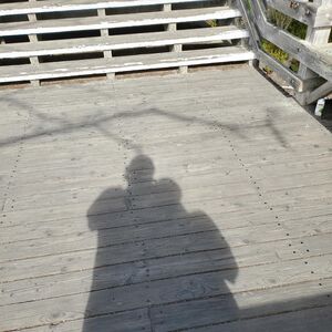 Gallery Photo 14
