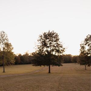 Gallery Photo 9