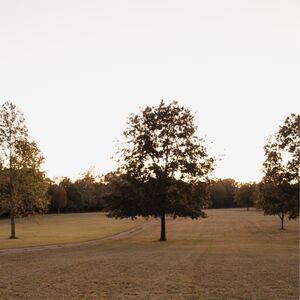Gallery Photo 9