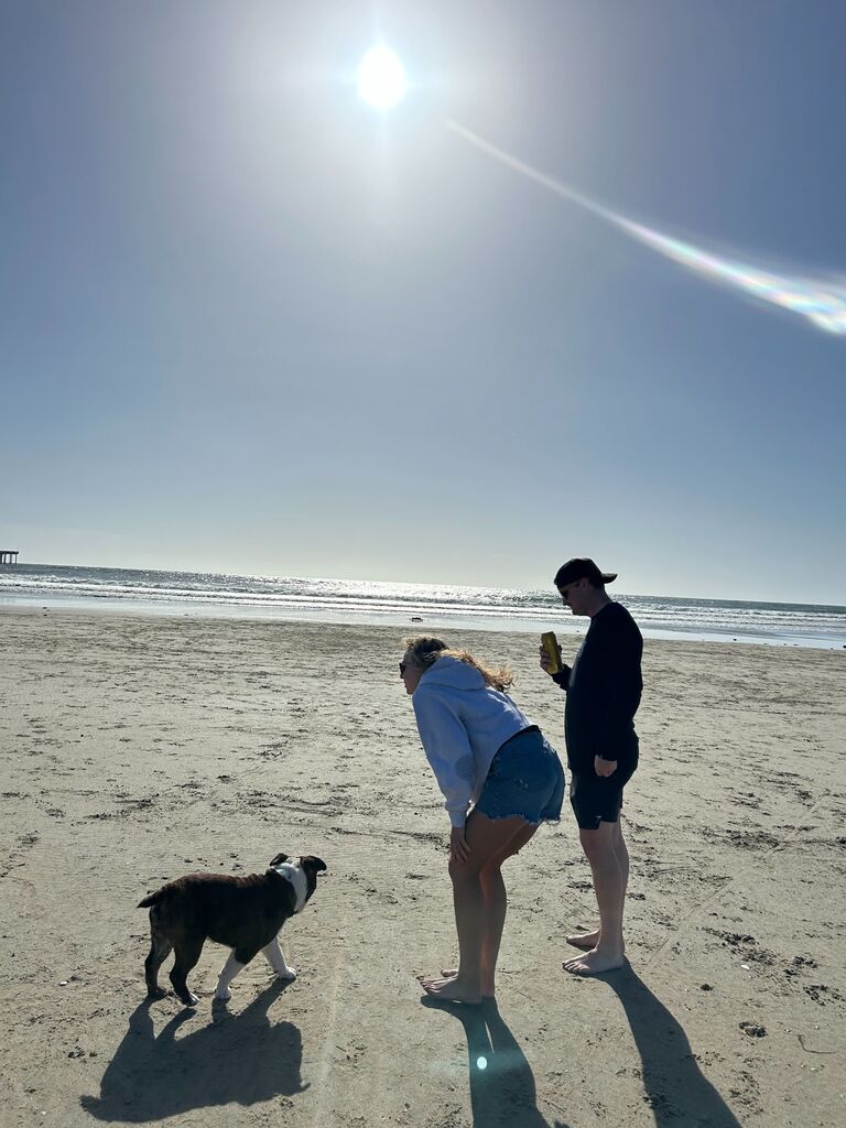 A long weekend well spent in sunny San Diego with Jess and Levi (and Benny!). Fun Fact - Cassidy thought this would be the weekend that Michael's proposed but he had a surprise up his sleeve, The remainder of the summer and fall included lots of tree work for Michael's very own tree service, Hussey Tree Service LLC, concerts with friends Aaron and Emmy and comedy shows with youngest sister of Cassidy, Caitlin (also the MOH). 