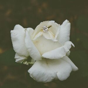 Gallery Photo 19