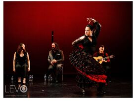 Benjamin Barrile - Flamenco Guitar - Flamenco Guitarist - Toronto, ON - Hero Gallery 2