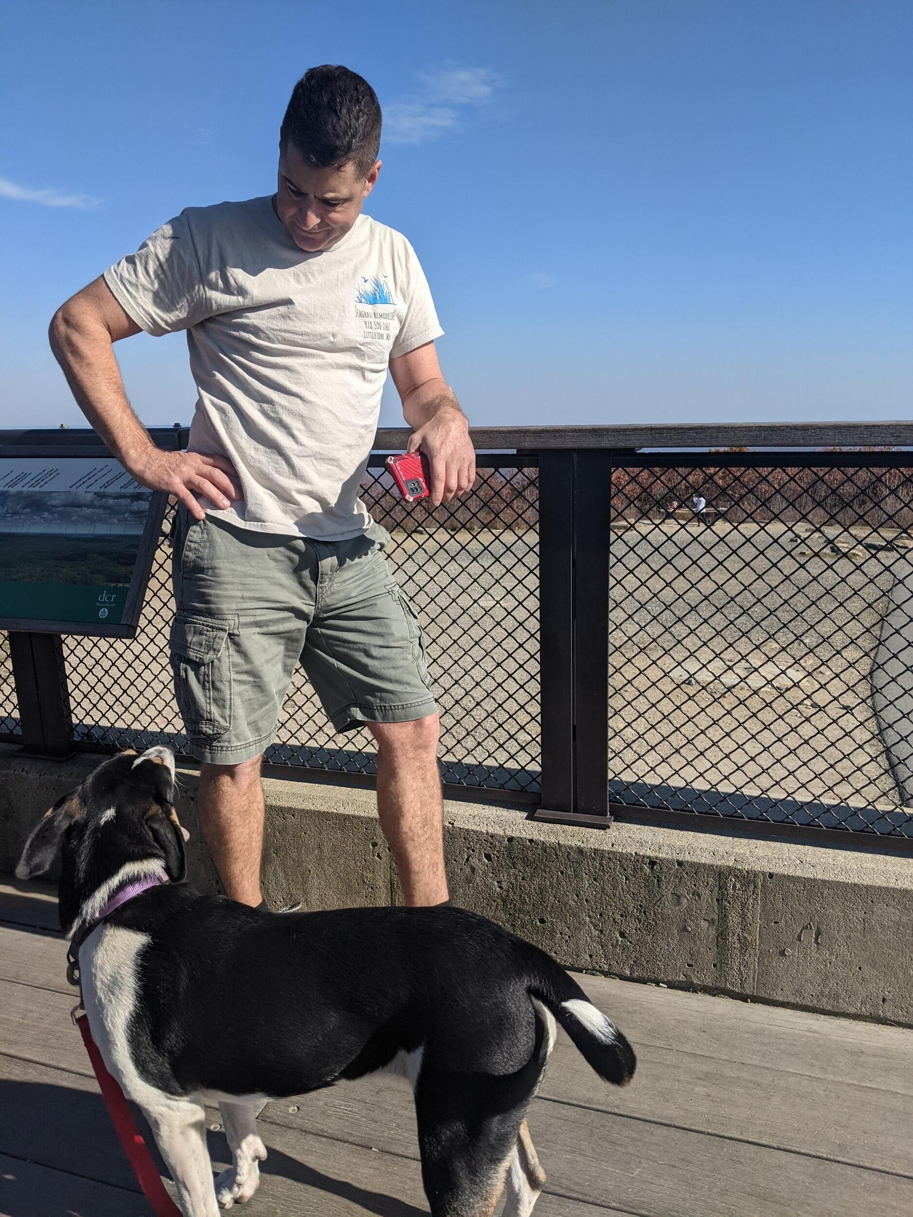 Fall hike with Pepper to the summit at Wachusett. Emily loves Pepper, Pepper loves Chris, Emily loves Chris. Pepper loves Emily until Chris shows up. It's a mess. 