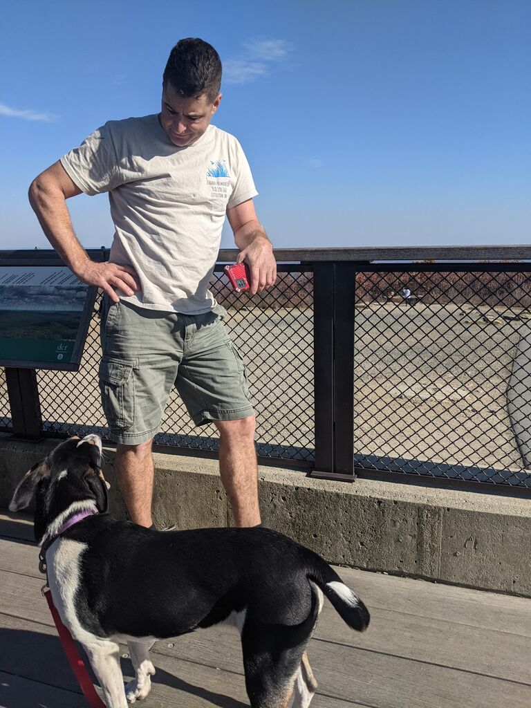 Fall hike with Pepper to the summit at Wachusett. Emily loves Pepper, Pepper loves Chris, Emily loves Chris. Pepper loves Emily until Chris shows up. It's a mess. 