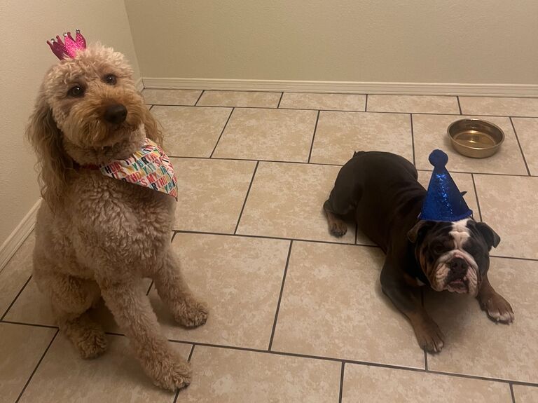 Frank and Dewey met for the first time and celebrated their birthdays together!