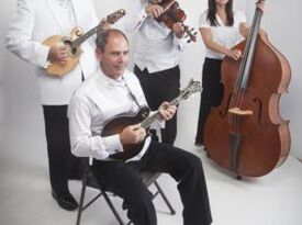 The Allegretto Ensemble - String Quartet - Vista, CA - Hero Gallery 4