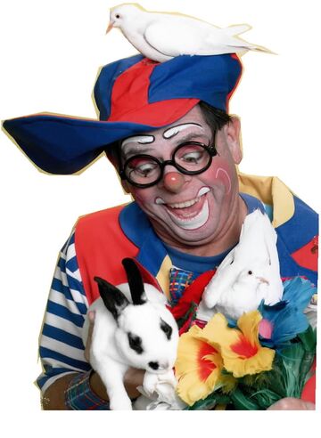 Toe-Knee the Clown, Mr. Bill the Magician - Clown - Orange Park, FL - Hero Main
