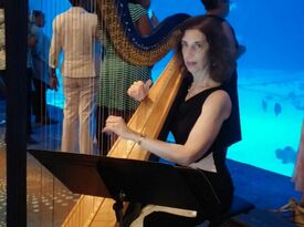 Harp Music By Lisa Handman (harpnotes) - Harpist - Alpharetta, GA - Hero Gallery 3