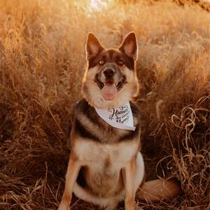 Gallery Photo 37