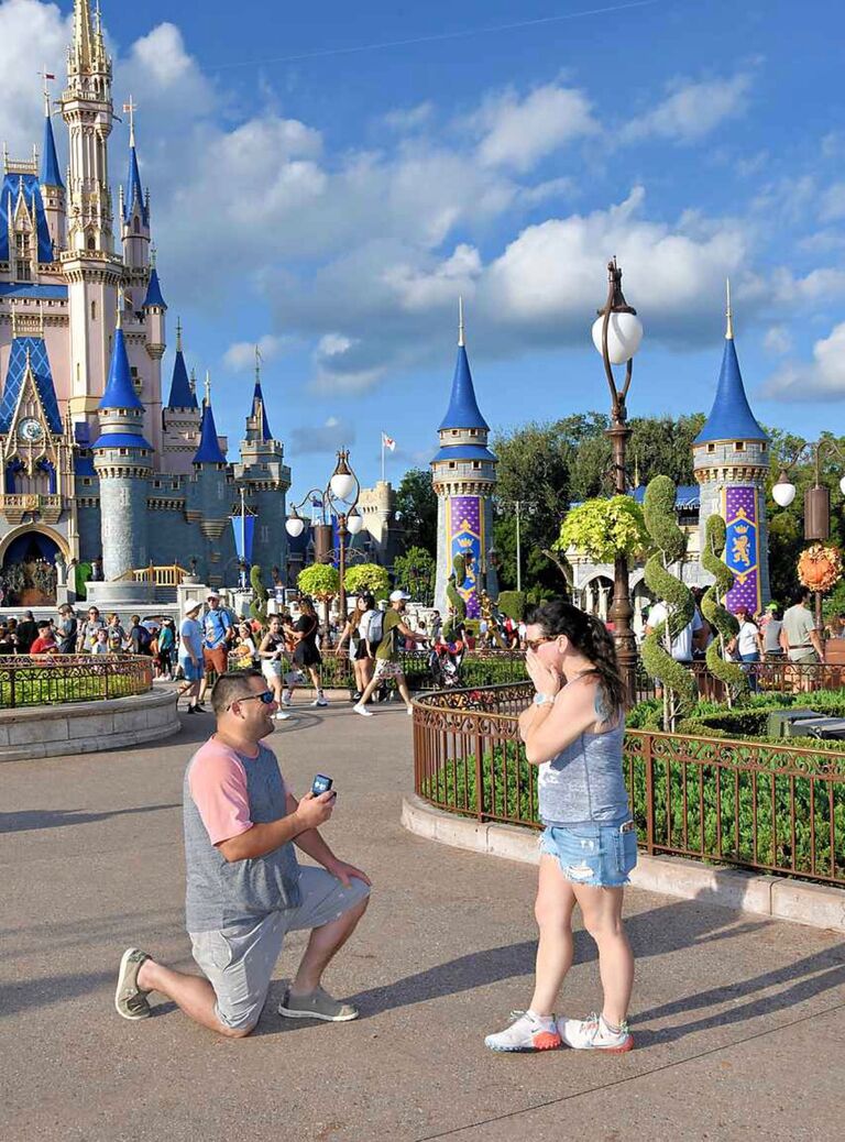 DisneyWorld Magic Kingdom
Proposal 