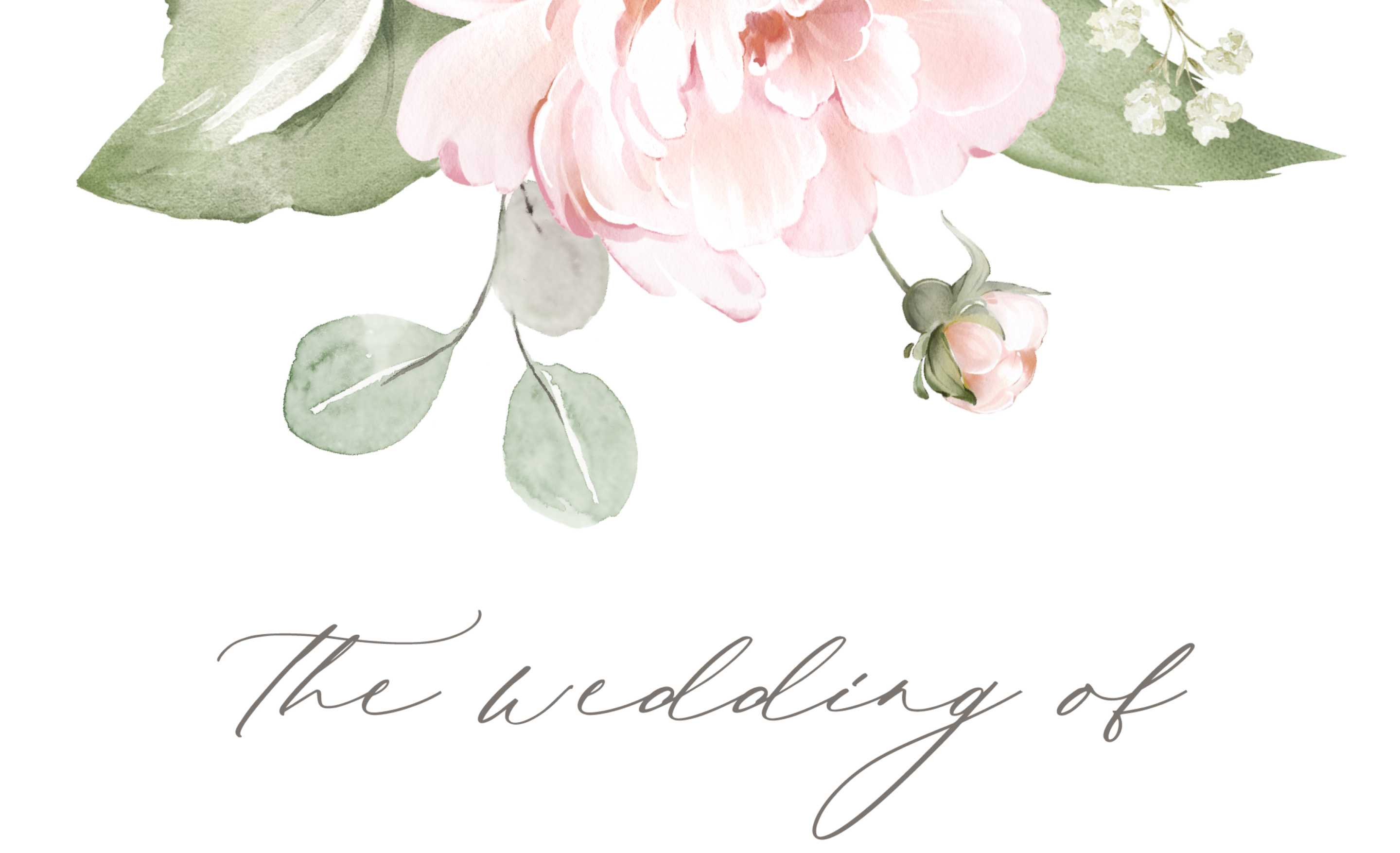 Top Theme Image