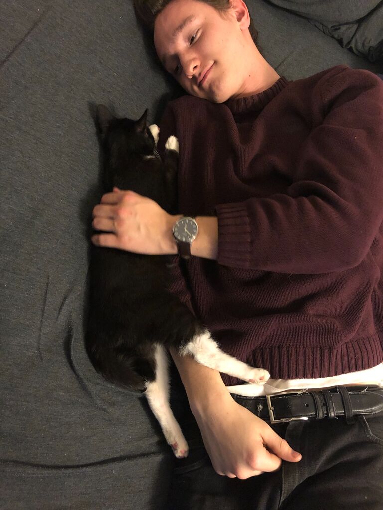 Nathan meeting our new kitten, Joey for the first time.