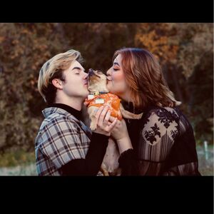 Gallery Photo 14