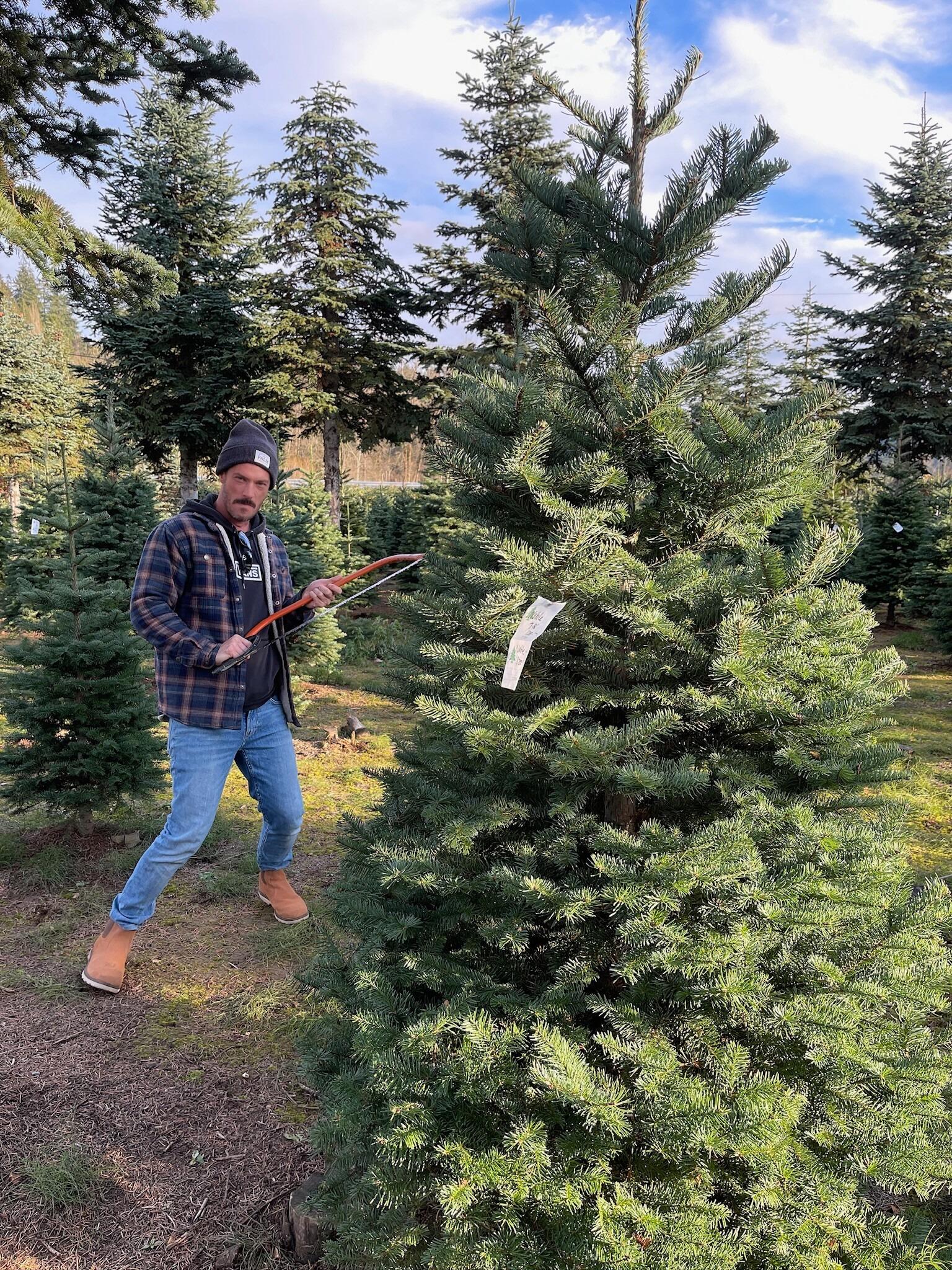 On their first holiday tree outing, Haley and Kyle soaked in every moment, knowing they were creating the foundation for lifelong traditions. They playfully debated over ornament placement while choosing decorations that captured both of their vibes. It was a day full of joy, silliness, and the beginning of many holidays together.
