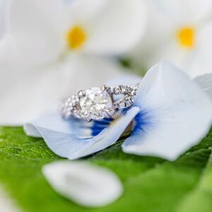 Gallery Photo 159