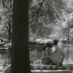 Gallery Photo 4