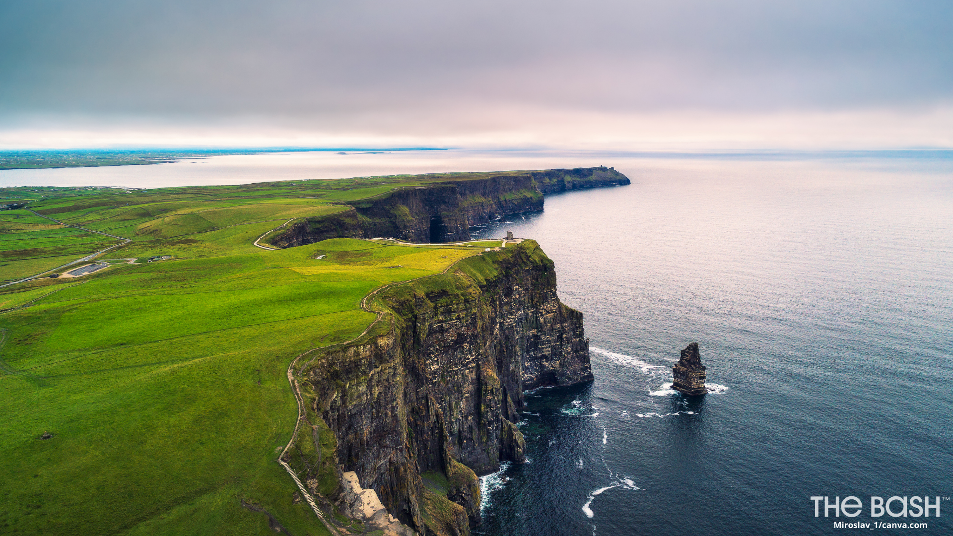 How to Celebrate St. Patrick's Day Virtually with Your Team