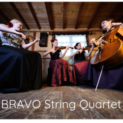 BRAVO String QUARTET, profile image