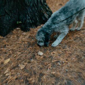 Gallery Photo 30