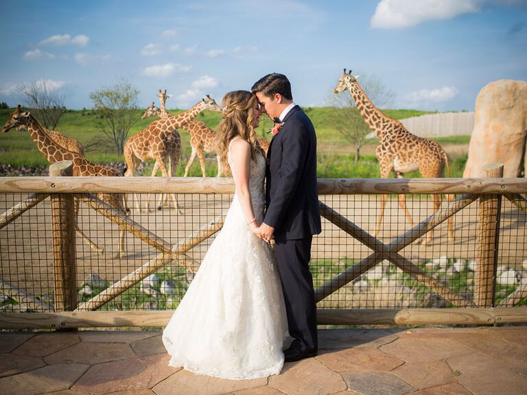 Zoo Wedding Photos With Giraffes, Kangaroos and Leopard Cubs