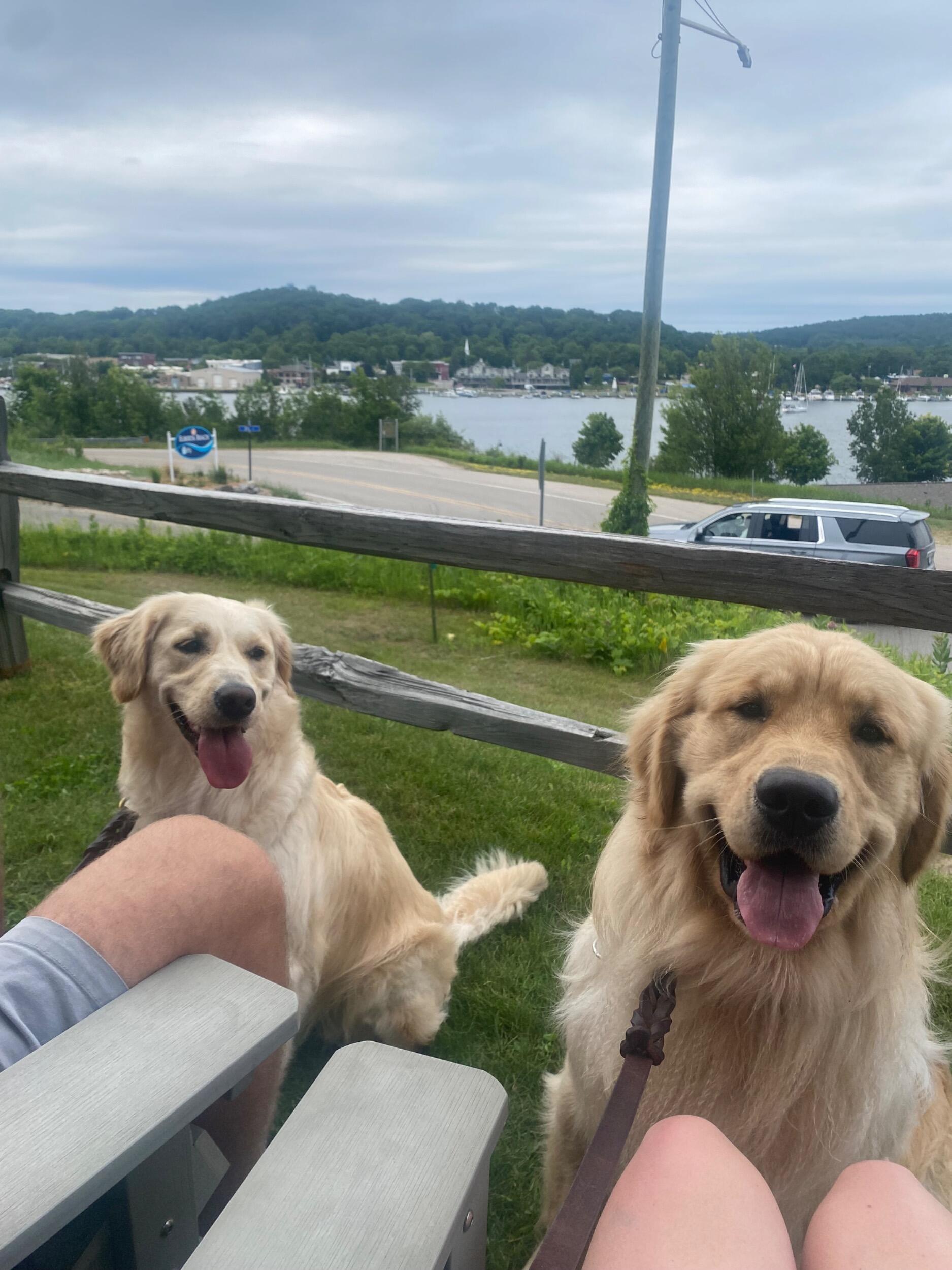 That summer we spent lots of time with our pups!