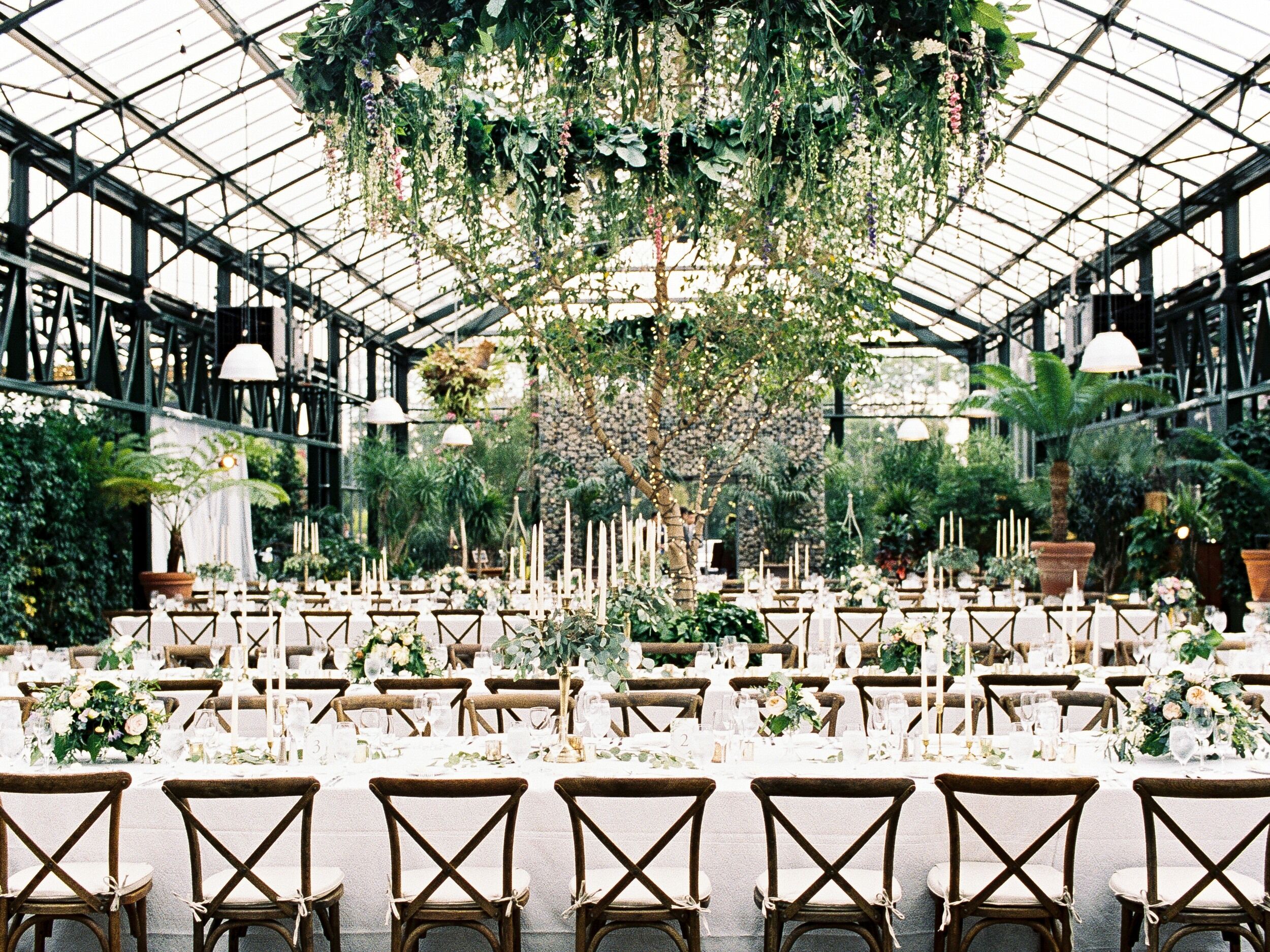 Оранжерея подольск. Свадьба в стеклянной оранжерее. Public Greenhouse. Greenhouse in Italy Wedding.