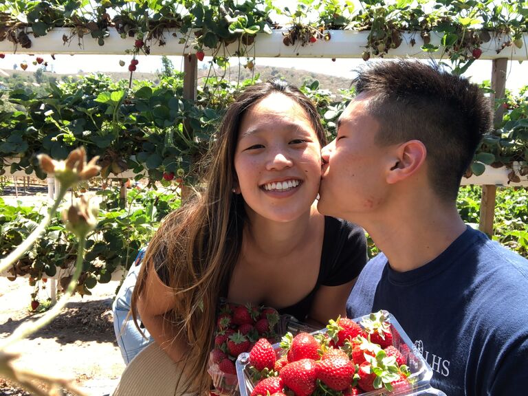 Strawberry picking at Tanaka Farms!