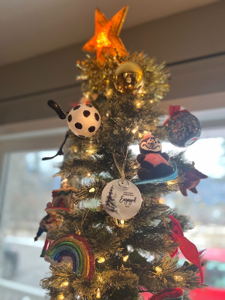 Our first Holiday Season, engaged.