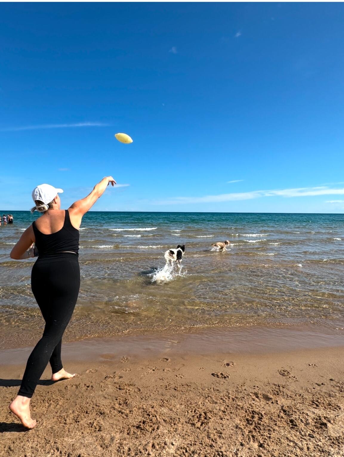 Little Water Bugs, Whitefish Dunes