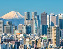 Tokyo skyline and Mount Fuji, Japan honeymoon.