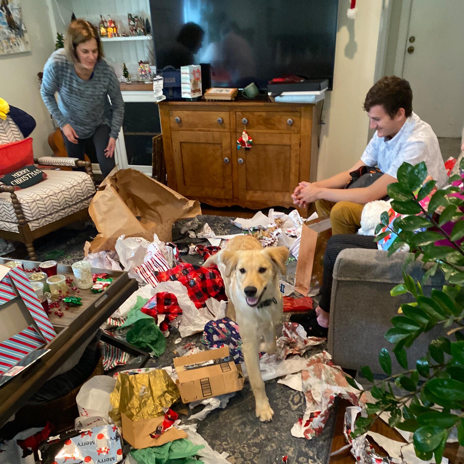 Doobie wreaks havoc at Michael's first Christmas with the Insley's. 