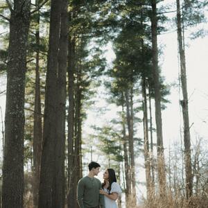 Gallery Photo 4