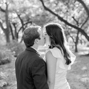 Gallery Photo 31