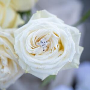 Gallery Photo 21