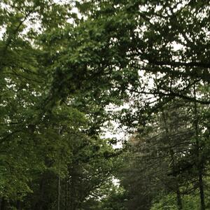 Gallery Photo 31