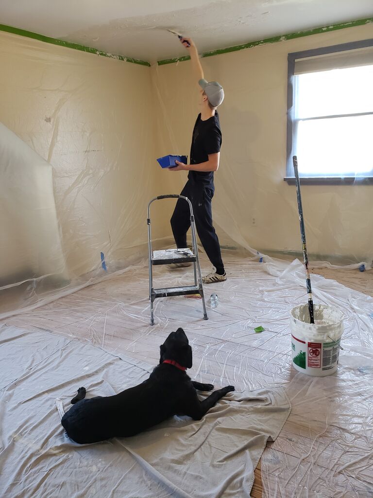 One of many home renovations