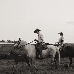 Gallery Photo 14