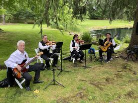 Reverie Strings Ensemble - Classical Quartet - Brooklyn, NY - Hero Gallery 2