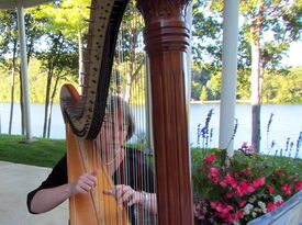 Jane Hogarth Minnis - Harpist - Norwalk, CT - Hero Gallery 2