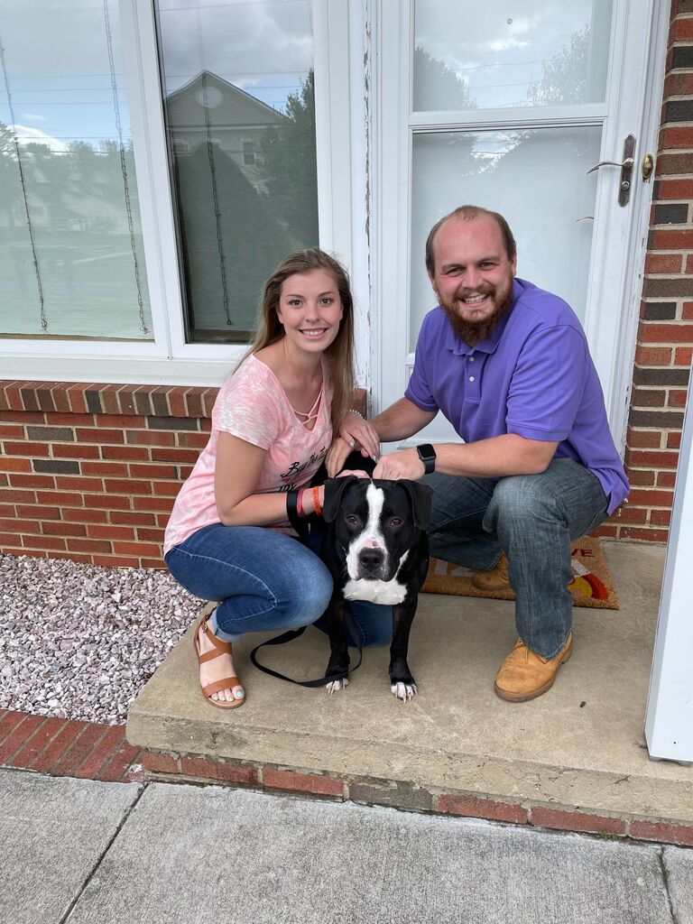 We adopted our sweet Joe and closed on our first house! The house where we had our first date. Joe quickly stole our heart and became the favorite family member.
