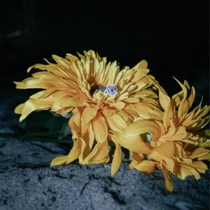 Gallery Photo 14