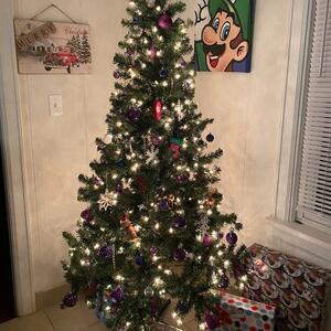 Gallery Photo 20