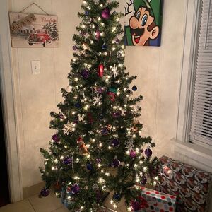 Gallery Photo 20