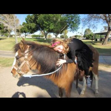 Party Ponies Yuma - Pony Rides - Yuma, AZ - Hero Main