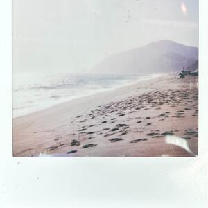 Gallery Photo 9