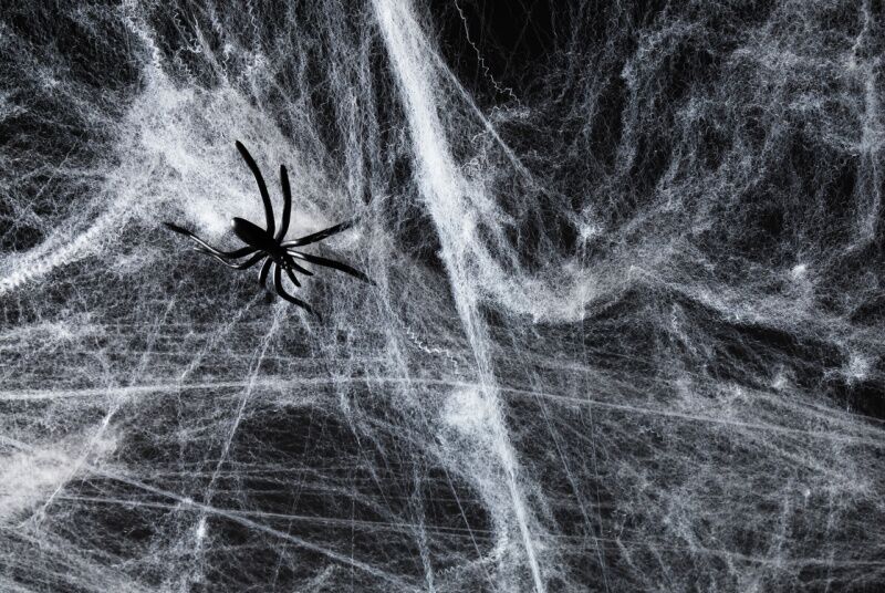 Wednesday Party Theme Ideas: spider webs