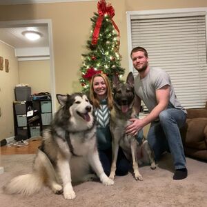 Gallery Photo 21