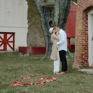 Gallery Photo 38