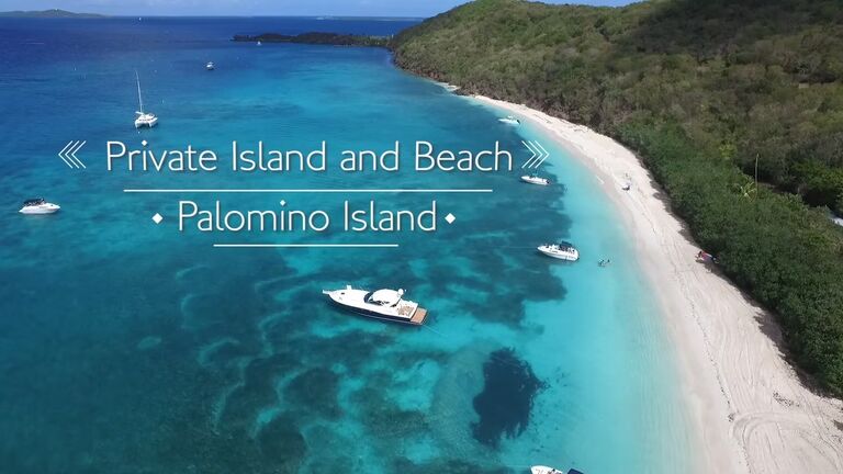 11am Make your way over to Palomino on the EL Conquistador shuttle boat in the Marina. 
Boat Schedule:
			10:00am shuttle boat
			11:00am Shuttle boat
**When you exit the shuttle boat, wait at the dock for your transportation to the private side of the island.**
12pm Anniversary Celebration!! Enjoy your day at the beach with food and drinks. Followed by a Puerto Rican dinner with dancing. **Recommend to bring a towel, sunscreen, and change of clothes**
Boat Schedule:
9:00 pm Shuttle Boat to El Conquistador 
10:30 pm Shuttle Boat to El Conquistador 
12:00 am Shuttle Boat to El Conquistador 
